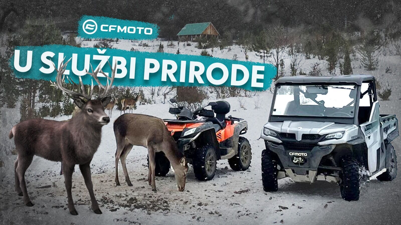 cfmoto nacionalni park kopaonik