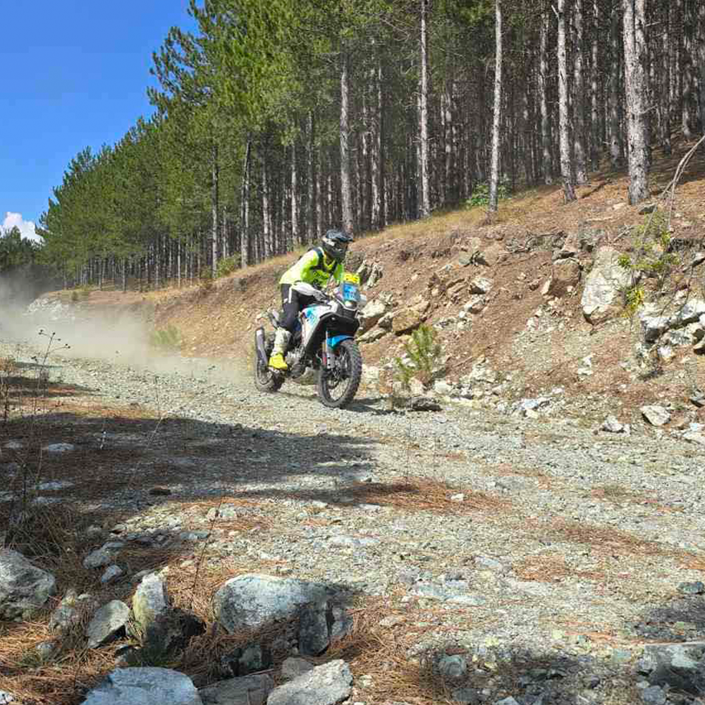 cfmoto hard enduro trace badgers 2024
